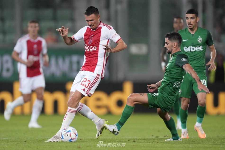 大的项目并 大的项目并